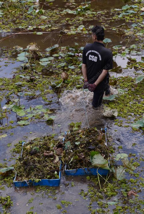 PK11_05102016_TASIK