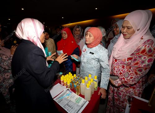 DATUK SERI NANCY SHUKRI 
