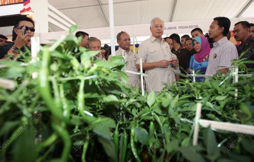 NAJIB TUN RAZAK