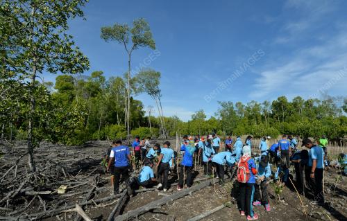 PK11_08042017_BAKAU