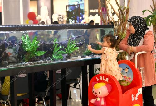 FIESTA IKAN PERAK 2024