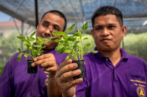 PERSATUAN UNTUK INSAN BERMASALAH INTELEK PERAK
