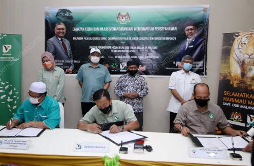DATUK SERI DR SHAMSUL ANUAR NASARAH