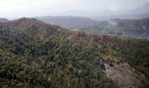 PK11_13022014_HUTAN