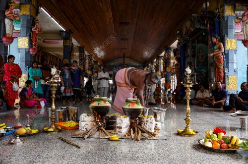 PESTA PONGGAL