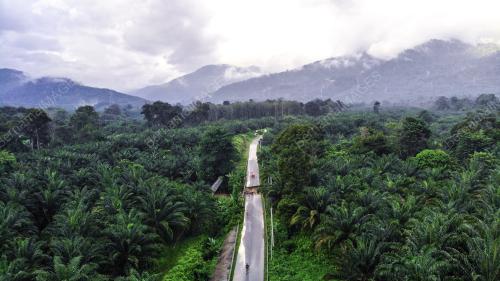 JAMBATAN RUNTUH SUNGAI KLAH