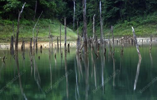 TASIK BANDING/HUTAN BELUM