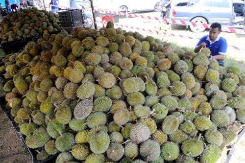 PK11_26062015_DURIAN