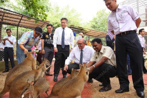 PK11_26072016_ZOO_TAIPING