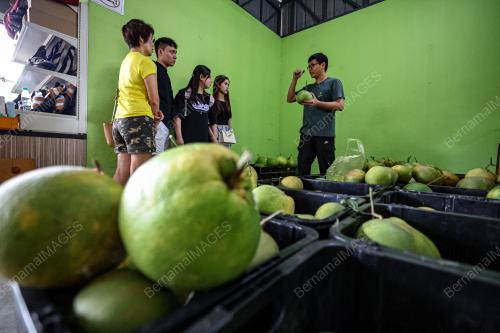 TINJAUAN HARI CUTI DI LIMAU BALI
