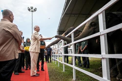 SULTAN PERAK SULTAN NAZRIN SHAH