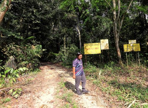 PENYELIA LADANG MOHD FIRDAUS SALIM