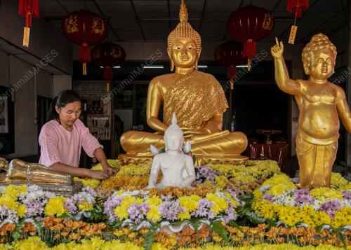 TINJAUAN PERSIAPAN HARI WESAK