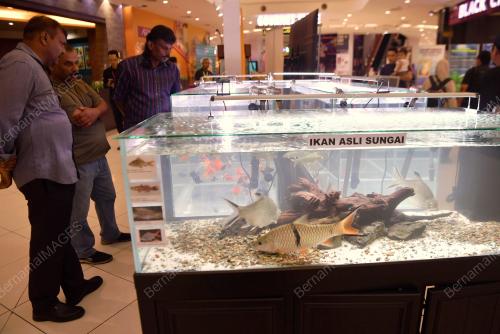 FIESTA IKAN PERAK 2024