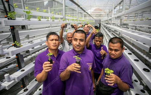 PERSATUAN UNTUK INSAN BERMASALAH INTELEK PERAK