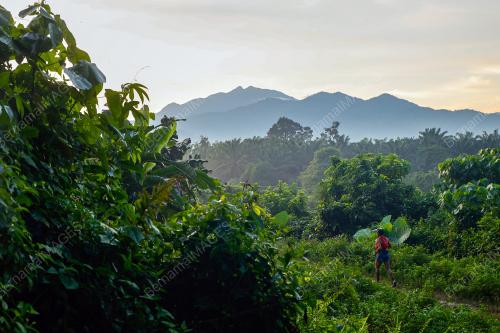 MALAYSIA ULTRA-TRAIL BY UTMB