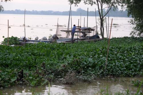 PK12_20052014_UDANG