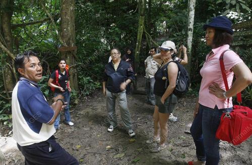 TASIK BANDING/HUTAN BELUM