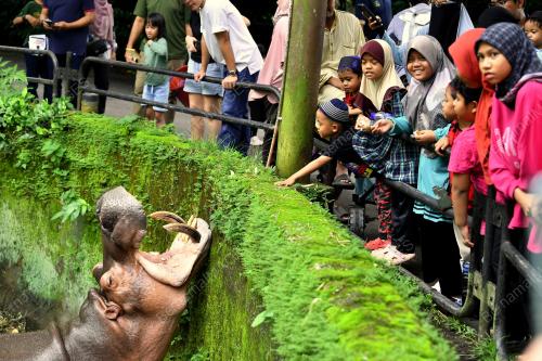 TINJAUAN ZOO TAIPING SEMPENA CUTI SEKOLAH