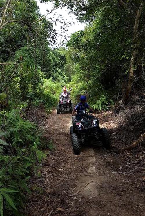 PK12_23082016_ATV