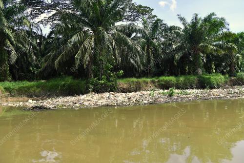 SUNGAI KINTA KAWASAN PASIR SALAK