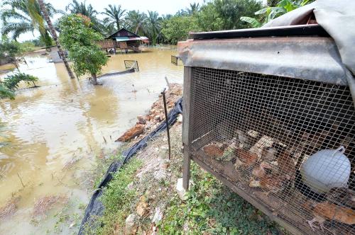 PK12_30032017_BANJIR