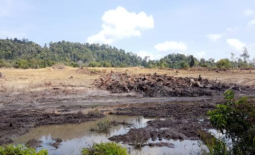 PK13_04102016_SAM_HUTAN_KEKAL