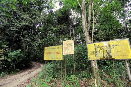 PENYELIA LADANG MOHD FIRDAUS SALIM
