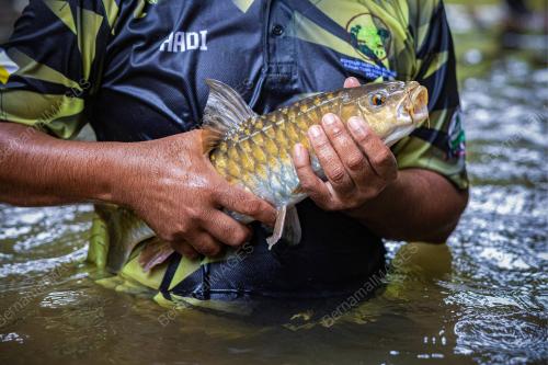 LIPUTAN SANTUARI KELAH AKEKCHEP