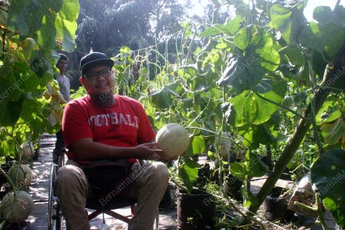 PK13_19042018_ROECK_MELON