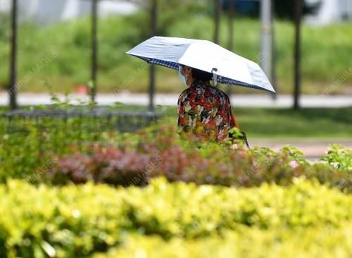 TINJAUAN CUACA PANAS DI IPOH