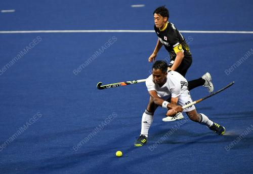 PK13_24032019_HOKI_BN201903224230
