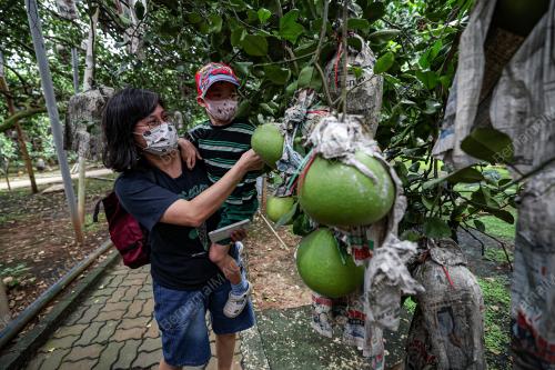 TINJAUAN HARI CUTI DI LIMAU BALI