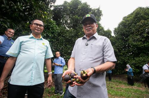 DATUK SERI MOHAMAD SABU