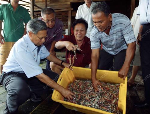 MUSTAPA MOHAMED