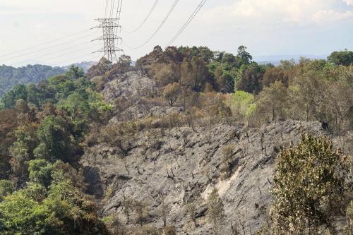 KEBAKARAN HUTAN BELUKAR DI GUNUNG SEMANGGOL