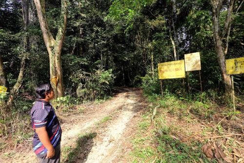 PENYELIA LADANG MOHD FIRDAUS SALIM