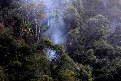 PK14_15022014_KEBAKARAN_HUTAN