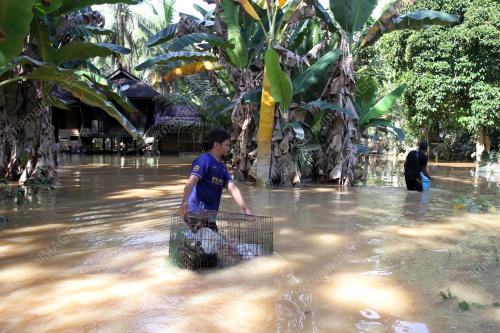 MANGSA BANJIR