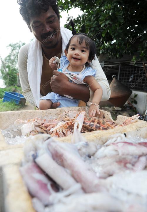 PK14_20052014_UDANG
