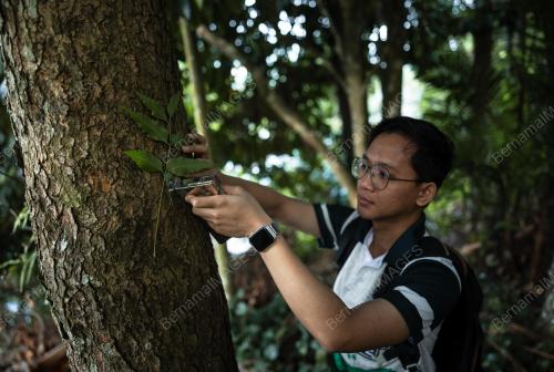 BANDING TRAIL ADVANTURE (BTA)