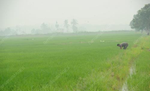 PK14_20102015_JEREBU