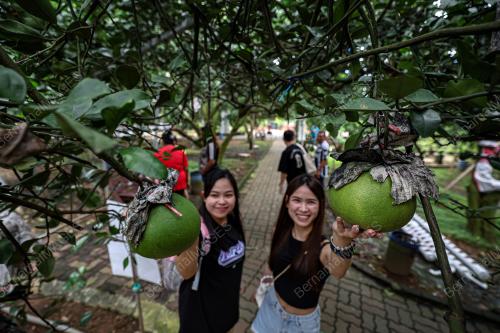 TINJAUAN HARI CUTI DI LIMAU BALI