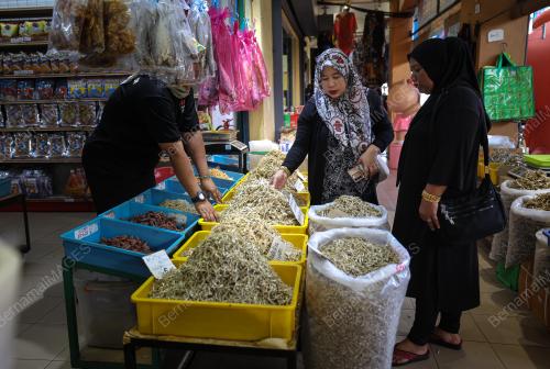 IKAN BILIS MATA BIRU