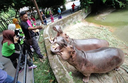 PK15_12032016_JOM_KLIK