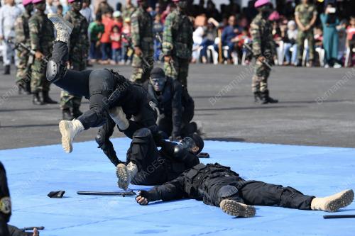 PK15_17112018_PASKAL_BN201811143627