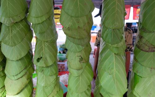 KUEY TIAW DAUN SIMPOK