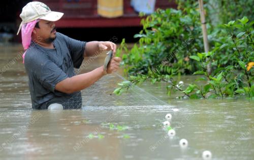 PK15_26122014_BANJIR
