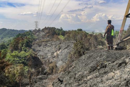 KEBAKARAN HUTAN BELUKAR DI GUNUNG SEMANGGOL