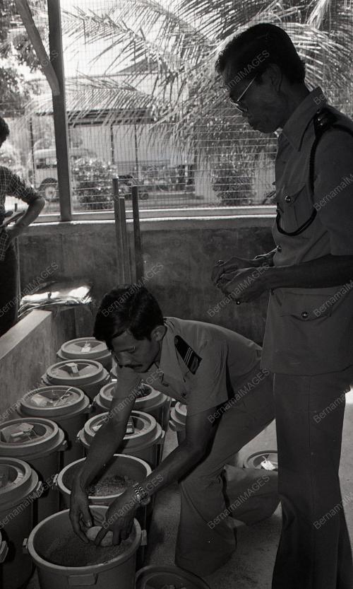 PROJEK PEMBIAKAN TUNTUNG